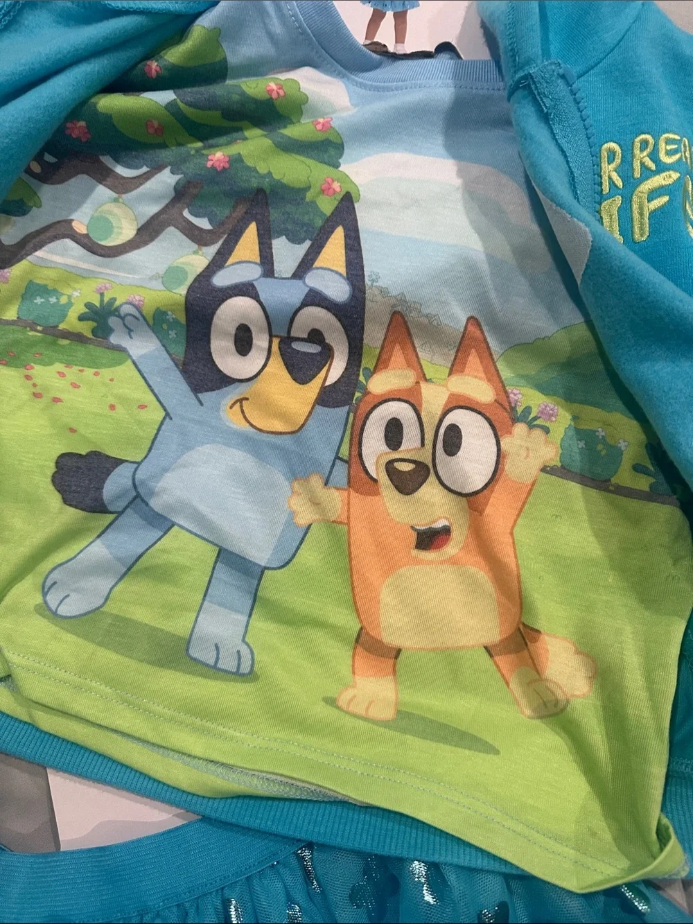 Bluey official matching